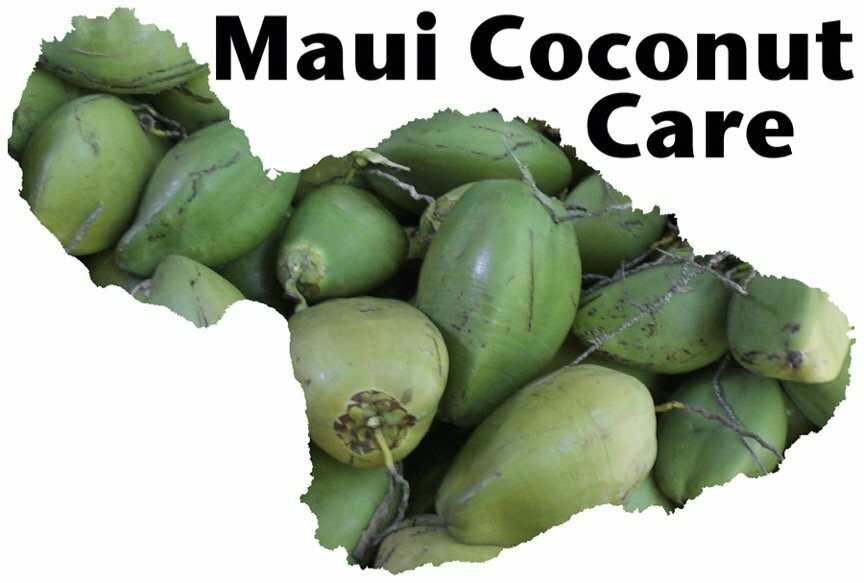 Maui Coconut Caregivers